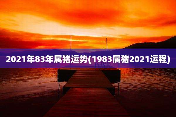 2021年83年属猪运势(1983属猪2021运程)