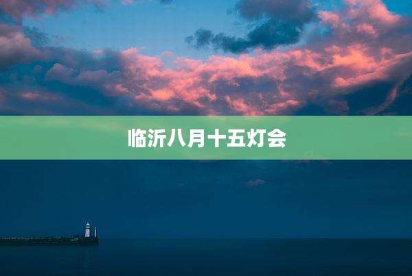 临沂八月十五灯会