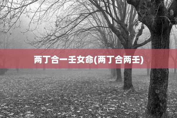 两丁合一壬女命(两丁合两壬)