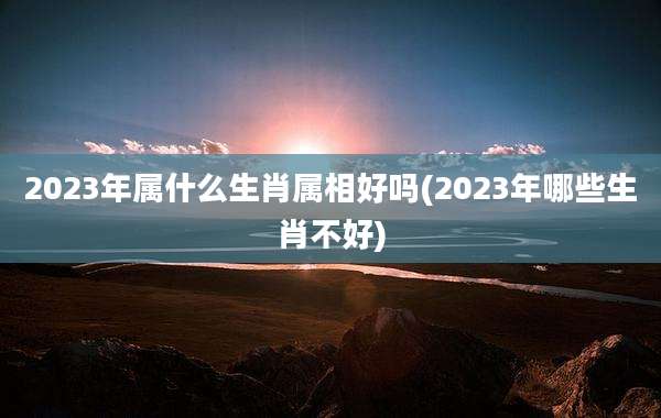 2023年属什么生肖属相好吗(2023年哪些生肖不好)