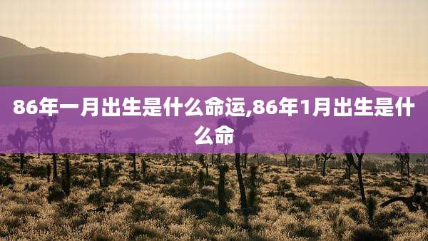 86年一月出生是什么命运,86年1月出生是什么命