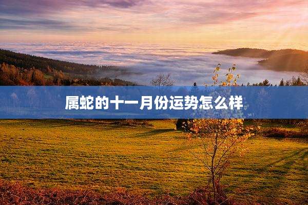 属蛇的十一月份运势怎么样