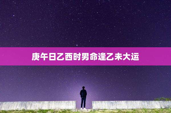 庚午日乙西时男命逢乙未大运