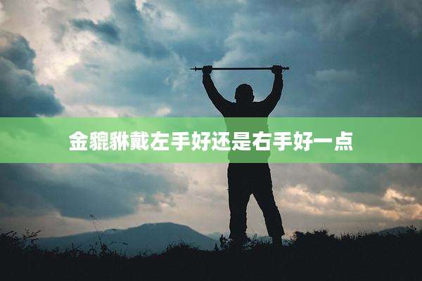 金貔貅戴左手好还是右手好一点
