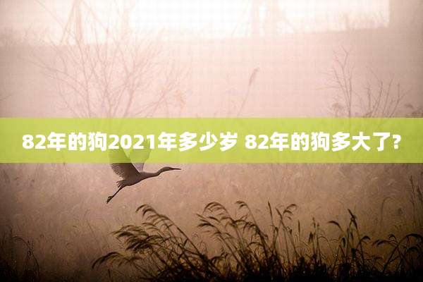 82年的狗2021年多少岁 82年的狗多大了?
