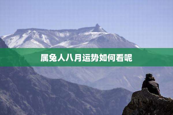 属兔人八月运势如何看呢