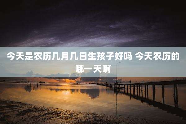 今天是农历几月几日生孩子好吗 今天农历的哪一天啊