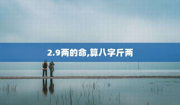 2.9两的命,算八字斤两
