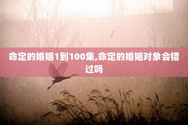命定的婚姻1到100集,命定的婚姻对象会错过吗