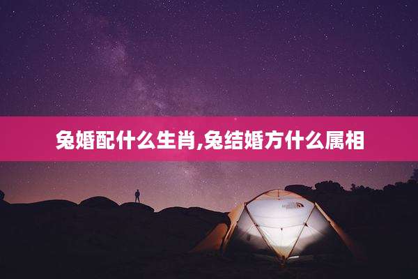 兔婚配什么生肖,兔结婚方什么属相