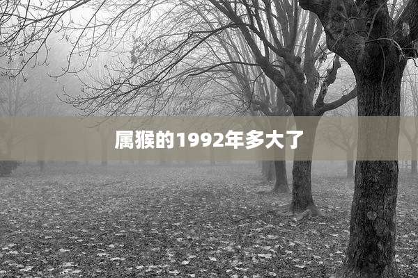 属猴的1992年多大了
