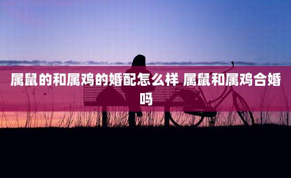 属鼠的和属鸡的婚配怎么样 属鼠和属鸡合婚吗
