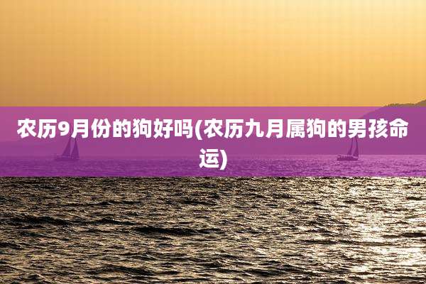 农历9月份的狗好吗(农历九月属狗的男孩命运)