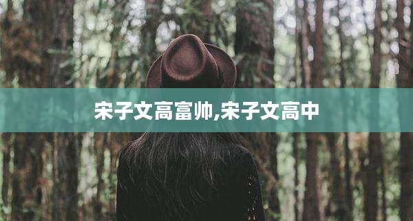 宋子文高富帅,宋子文高中