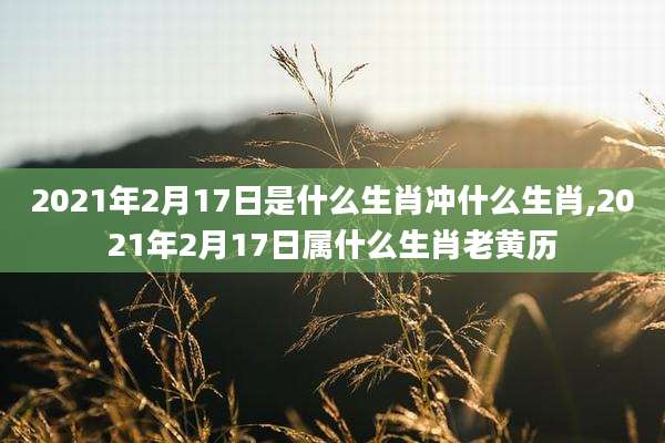 2021年2月17日是什么生肖冲什么生肖,2021年2月17日属什么生肖老黄历