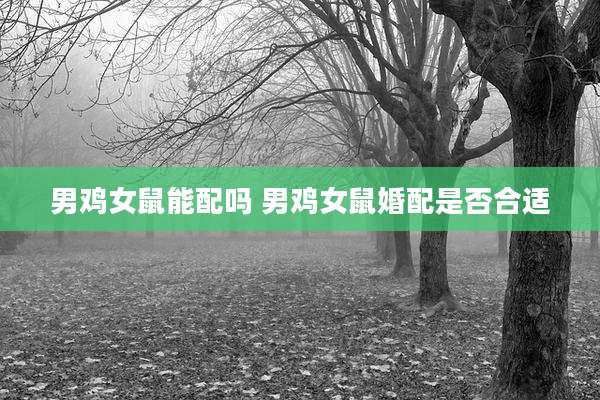 男鸡女鼠能配吗 男鸡女鼠婚配是否合适