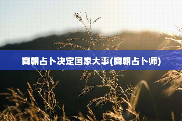 商朝占卜决定国家大事(商朝占卜师)