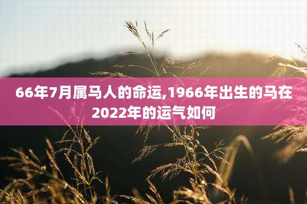 66年7月属马人的命运,1966年出生的马在2022年的运气如何
