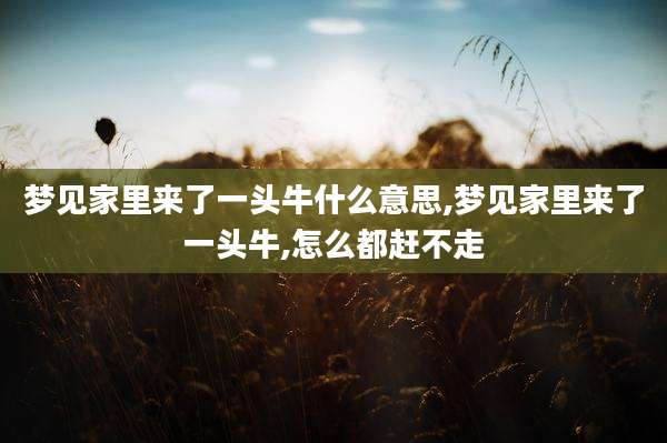 梦见家里来了一头牛什么意思,梦见家里来了一头牛,怎么都赶不走