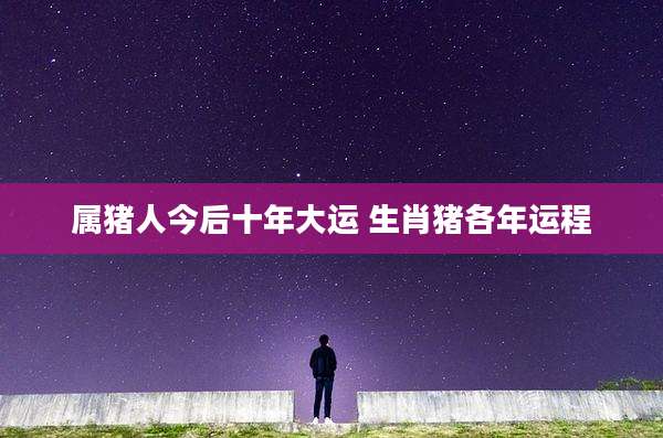 属猪人今后十年大运 生肖猪各年运程