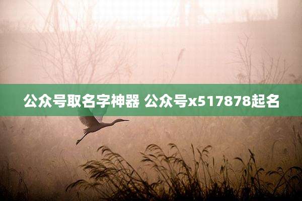 公众号取名字神器 公众号x517878起名
