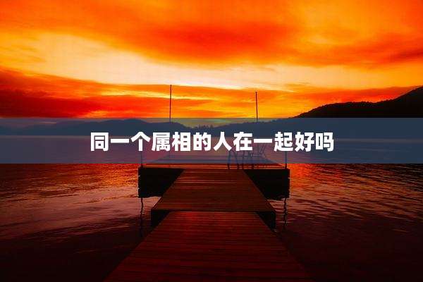 同一个属相的人在一起好吗