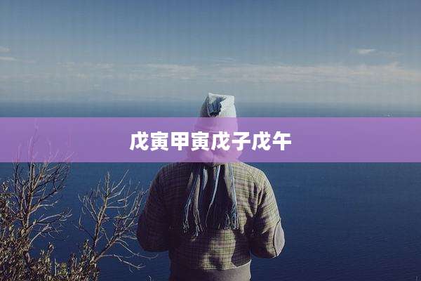 戊寅甲寅戊子戊午