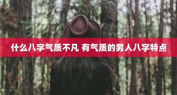什么八字气质不凡 有气质的男人八字特点