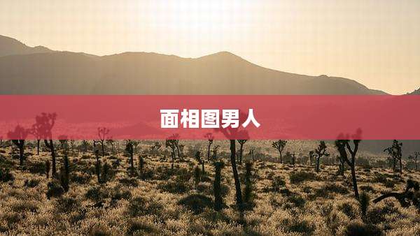 面相图男人