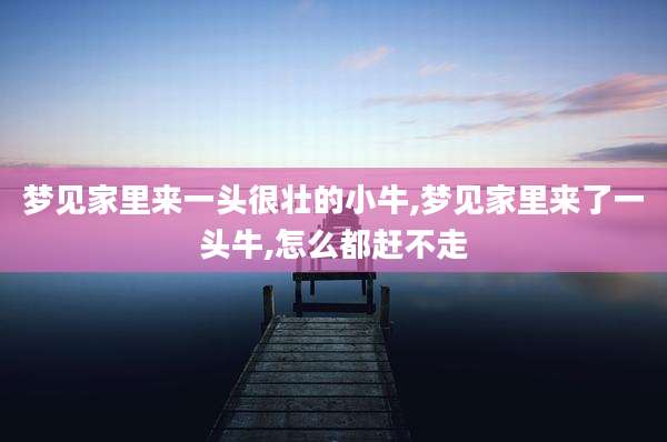 梦见家里来一头很壮的小牛,梦见家里来了一头牛,怎么都赶不走