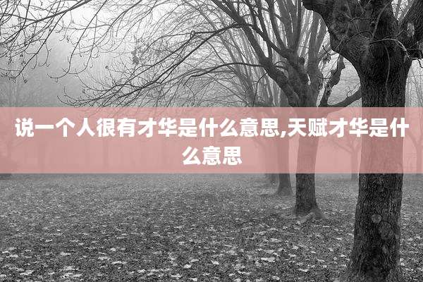 说一个人很有才华是什么意思,天赋才华是什么意思