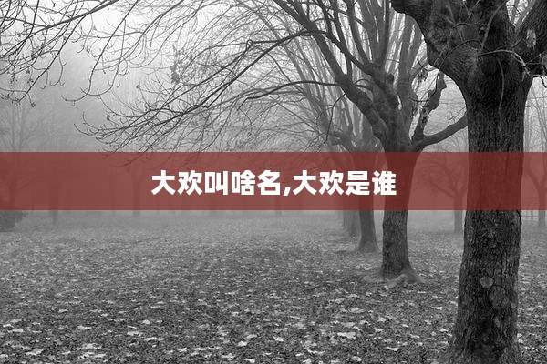 大欢叫啥名,大欢是谁