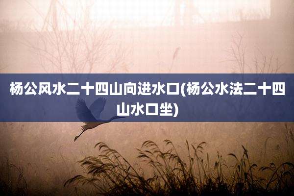 杨公风水二十四山向进水口(杨公水法二十四山水口坐)