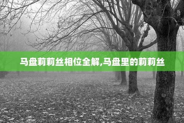 马盘莉莉丝相位全解,马盘里的莉莉丝