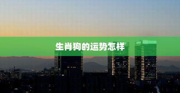 生肖狗的运势怎样