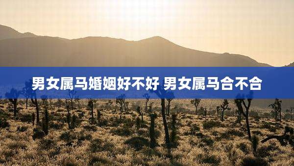 男女属马婚姻好不好 男女属马合不合