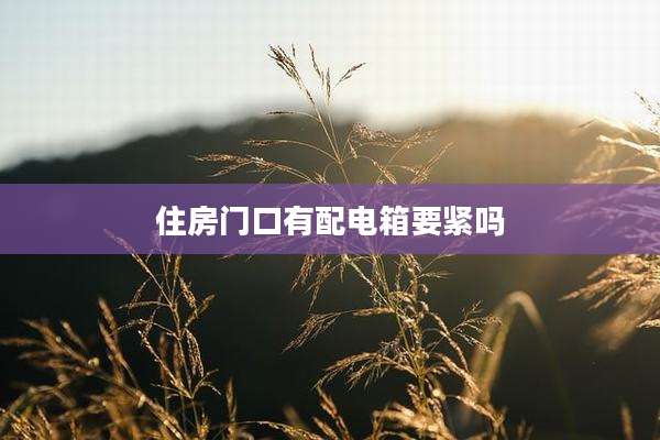 住房门口有配电箱要紧吗