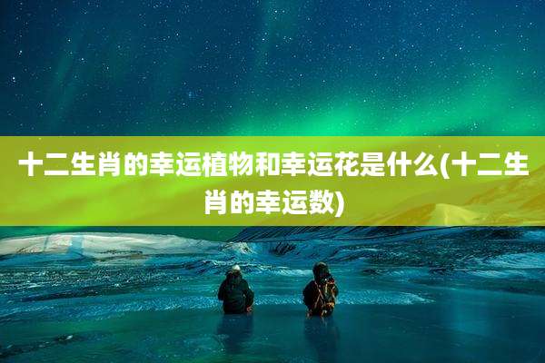 十二生肖的幸运植物和幸运花是什么(十二生肖的幸运数)