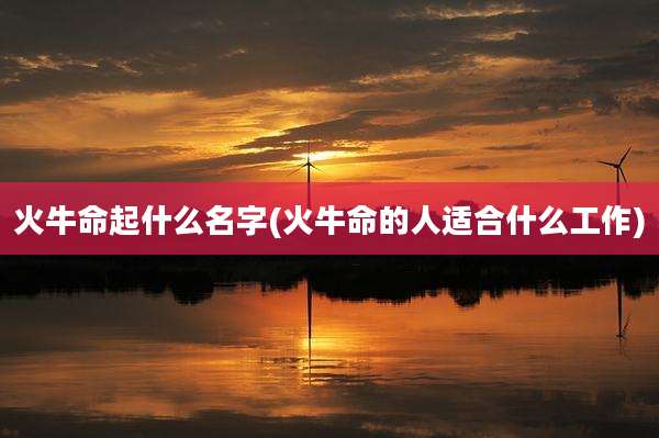 火牛命起什么名字(火牛命的人适合什么工作)