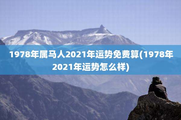 1978年属马人2021年运势免费算(1978年2021年运势怎么样)