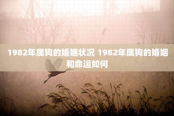 1982年属狗的婚姻状况 1982年属狗的婚姻和命运如何