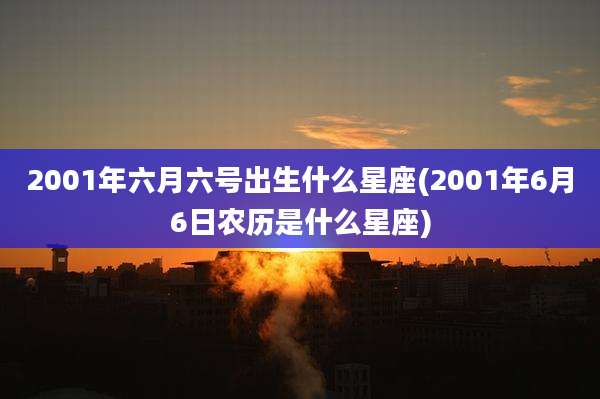 2001年六月六号出生什么星座(2001年6月6日农历是什么星座)