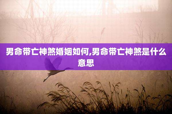 男命带亡神煞婚姻如何,男命带亡神煞是什么意思
