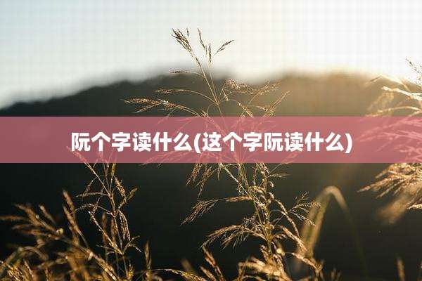 阮个字读什么(这个字阮读什么)