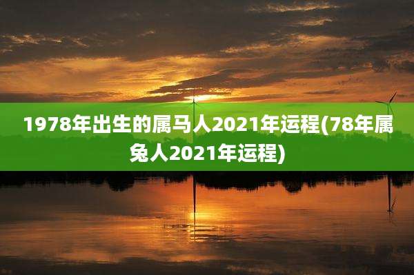 1978年出生的属马人2021年运程(78年属兔人2021年运程)