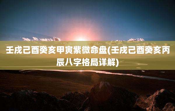 壬戌己酉癸亥甲寅紫微命盘(壬戌己酉癸亥丙辰八字格局详解)