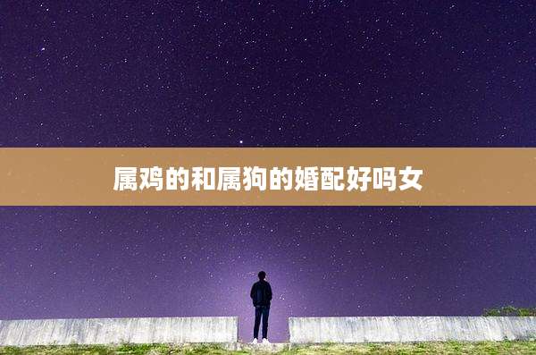 属鸡的和属狗的婚配好吗女