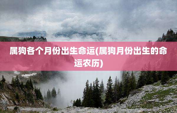 属狗各个月份出生命运(属狗月份出生的命运农历)