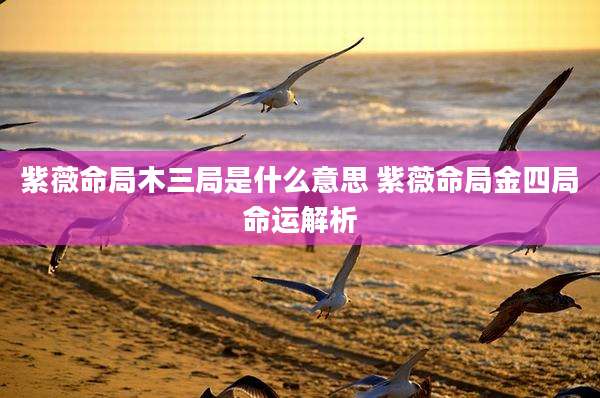 紫薇命局木三局是什么意思 紫薇命局金四局命运解析
