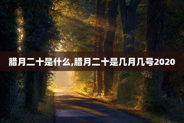 腊月二十是什么,腊月二十是几月几号2020
